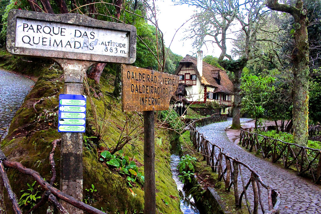 Madeira Levada bosques
