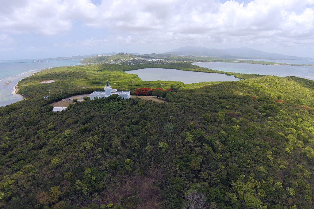 Laguna bahías bioluminiscentes