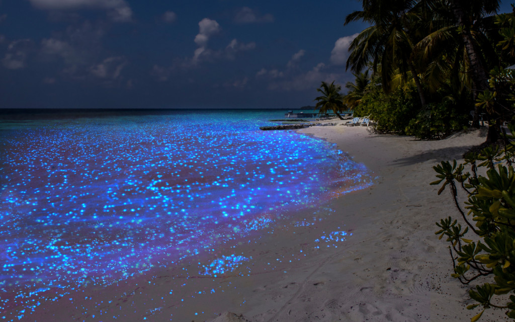 Vaadhoo playas