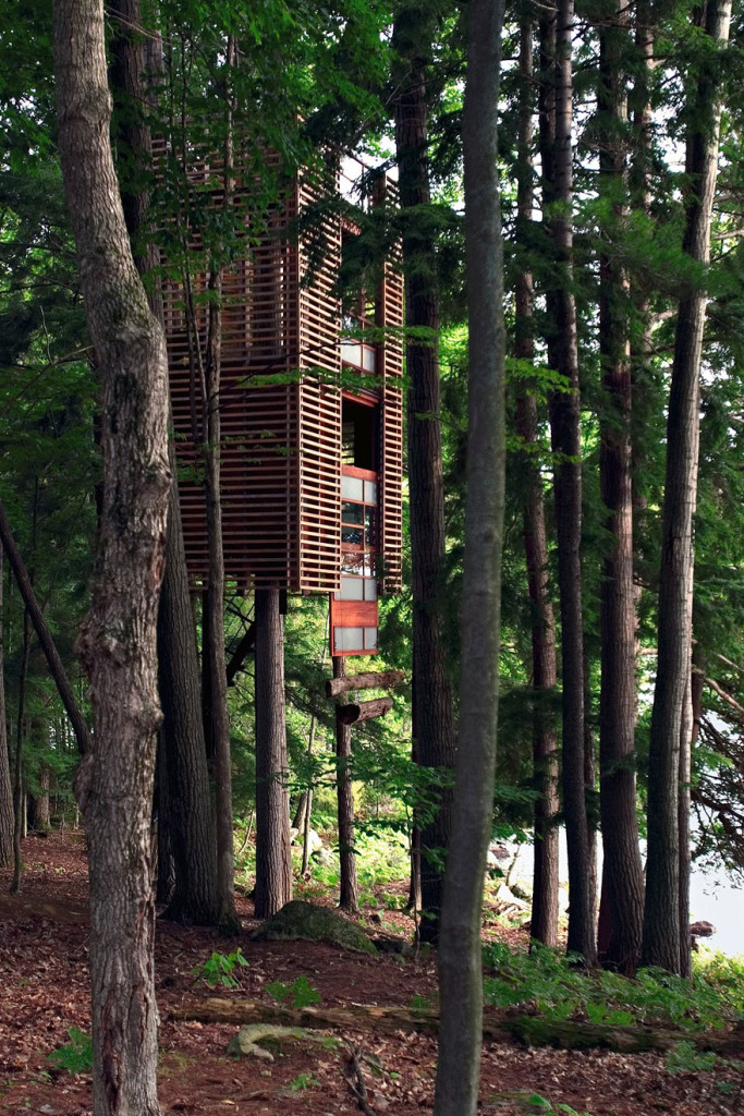 4treehouse