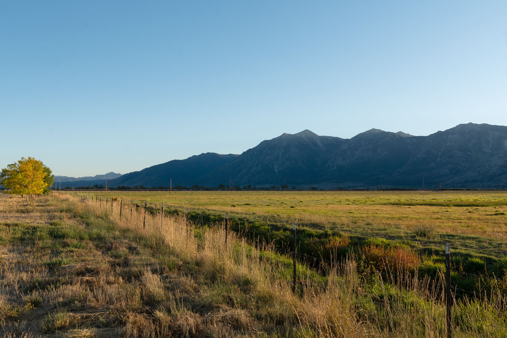 Condado de Carson Valley