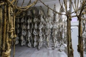 Ruta-Gastronomica-Tres-Marias-secado