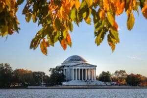 Washington D.C.