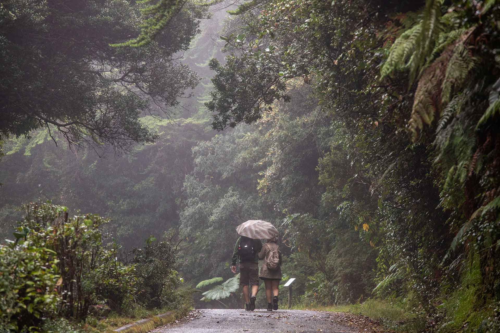 Parque Nacional Volcán Poás Costa Rica