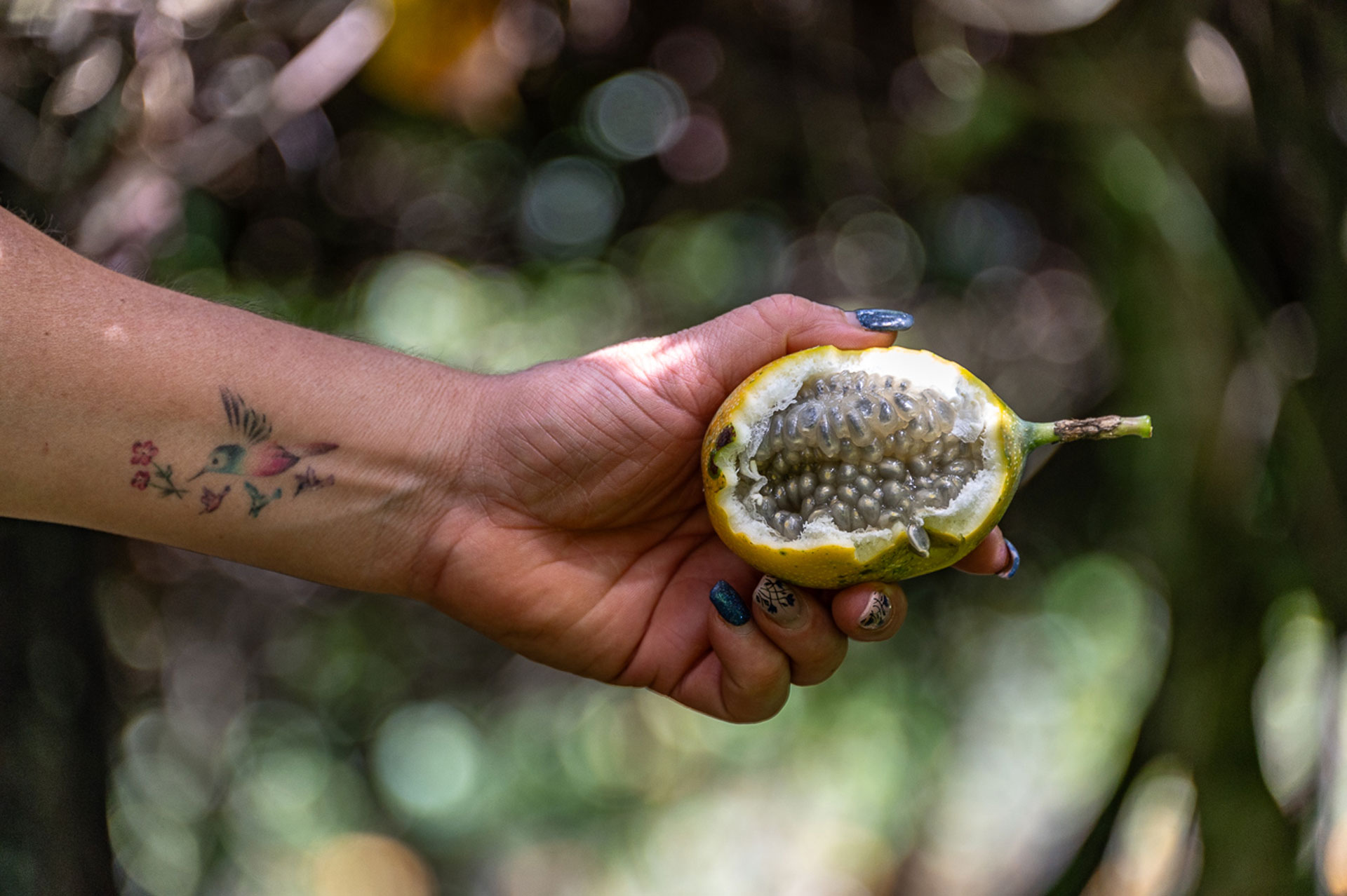 Granadilla en Río Blanco, Costa Rica