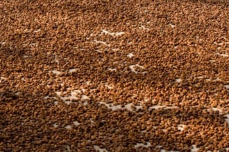 Un mundo de chocolate