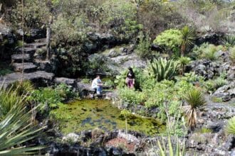 Espacios (casi) secretos de la Ciudad de México