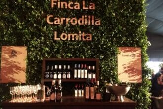 Segunda vuelta de Nación de Vinos