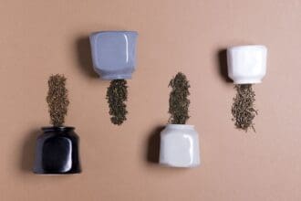 ¿Cómo guardar el té?