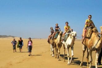 Diversión todo el año: actividades para niños