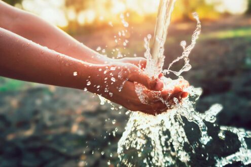Día Mundial del Agua: 7 datos sorprendentes que te harán valorar cada gota