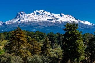 Amecameca, el hogar de los árboles de Navidad