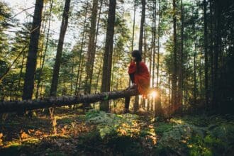 Baños de bosque: una tendencia sanadora