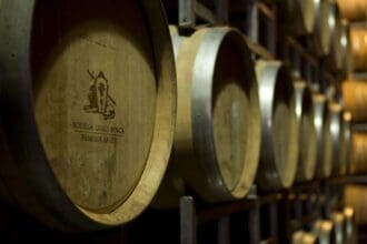Bodega Luigi Bosca, una historia de vides y vino