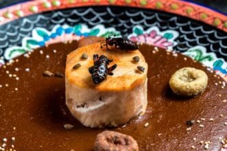 Bichos al Plato III, un festín de insectos
