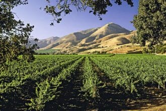 Santa Bárbara, destino de cálidos sabores