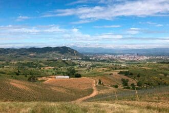 La Revelía: un vino blanco con carácter de Bodegas Emilio Moro