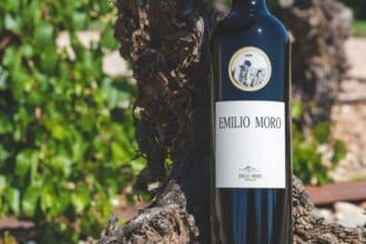 Bodegas Emilio Moro: 4 vinos españoles que te flecharán