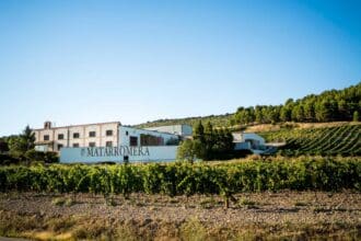 Bodegas Familiares Matarromera: dos vinos que no te puedes perder