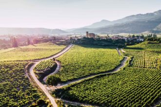 3 vinos de Bodegas de Remírez de Ganuza ideales para tener en tu cava