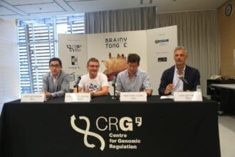 Brainy Tongue une gastronomía y ciencia