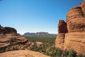 Arizona, reverdecer en el desierto