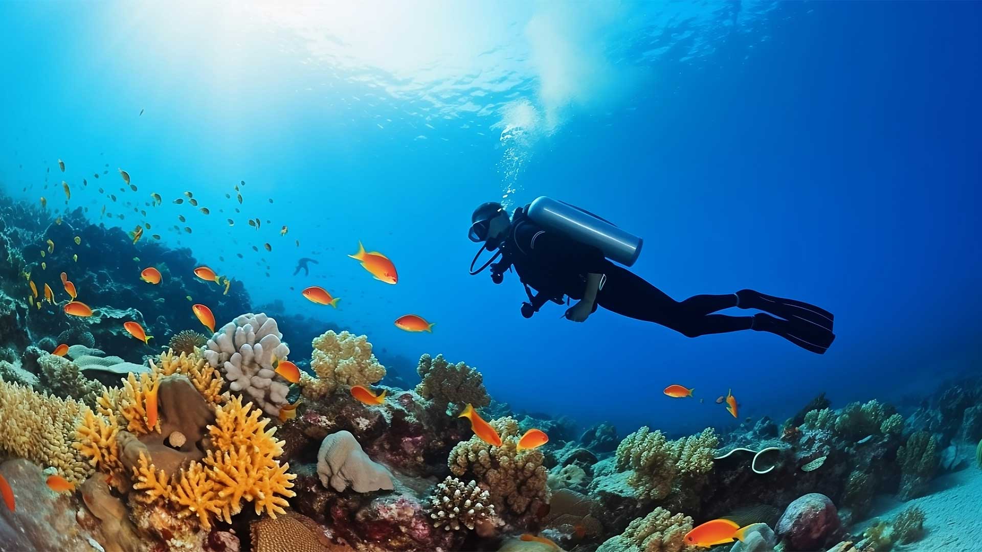 ¿Cuáles son los mejores destinos para bucear en el Caribe nicaragüense?