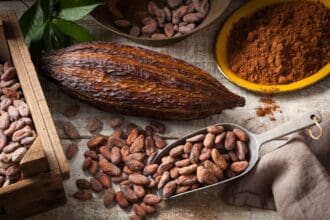 Martha Chapa presenta el libro Cacao: La Bebida de los Dioses