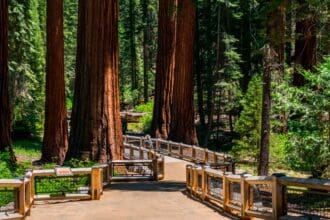  5 lugares de California que debes visitar
