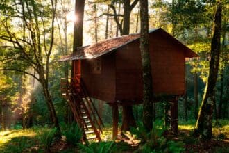 Casas del árbol en México: 5 divertidos hospedajes para ir con niños