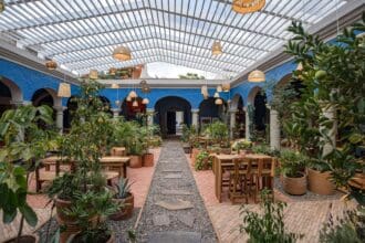 Para mezcaleros de corazón: conoce el nuevo Centro Cultural del Mezcal en Oaxaca