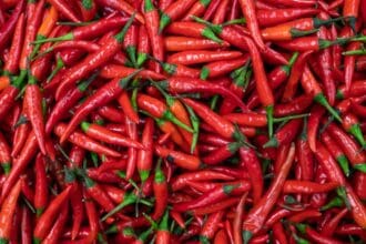 Top 7 de chiles mexicanos