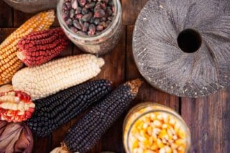 8 frases de cocineras tradicionales acerca del maíz y la milpa
