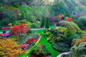 4 atracciones en la Columbia Británica para disfrutar de la primavera