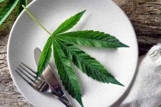 Comida cannábica: la otra cara de la marihuana