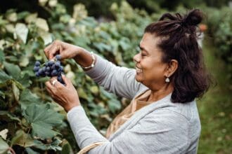 ¿Wine Lover? Apúntate al 43º Congreso Mundial de la Viña y del Vino