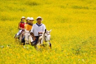 5 muy buenas razones para viajar a Costa Rica