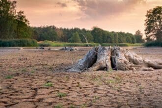 Día cero: crisis de agua en México más cerca que nunca