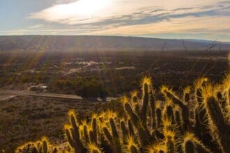 Conoce Cuatro Ciénegas y sus majestuosos paisajes