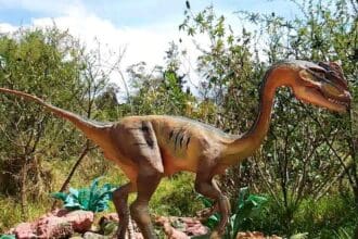 Discovery Tour Jurásico: camina junto a gigantes del pasado