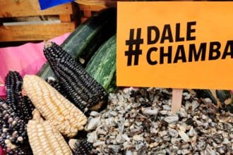 A los ingredientes mexicanos: ¡Dale chamba!