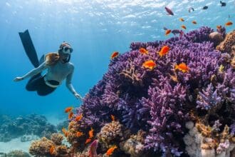 5 destinos para bucear y explorar las profundidades del mar