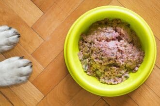 BARF, la dieta que tus mascotas amarán