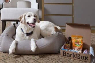 Hoteles pet friendly en México