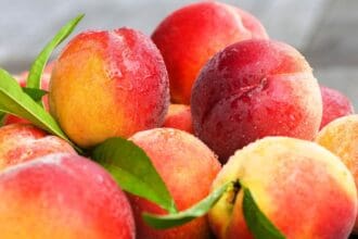 Frutas de temporada
