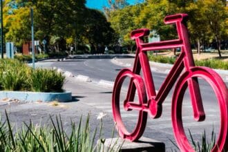Conoce las nuevas rutas de Ecobici y sal a rodar