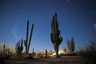 Baja California, explosión de vida