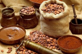 Eventos gastronómicos en México para cerrar 2016