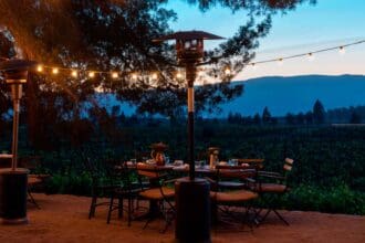 15 postales del Festival de las Conchas y el Vino Nuevo