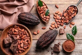 Festival del Chocolate en Tabasco: tributo al cacao